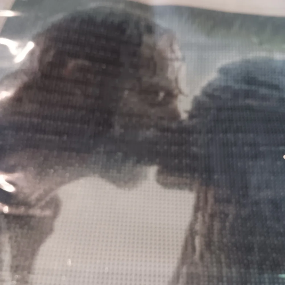 The Walking Dead - Rick And Michonne Diamond Art Painting Kit 30x40